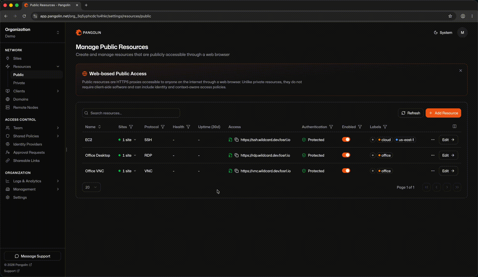 Session RDP interactive rendue dans le navigateur par Pangolin